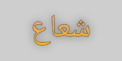 تطبيق شعاع تي في إصدار جديد لعام 2025