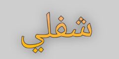 تطبيق شفلي نافذة رقمية جديدة تخدم المجتمع السوري